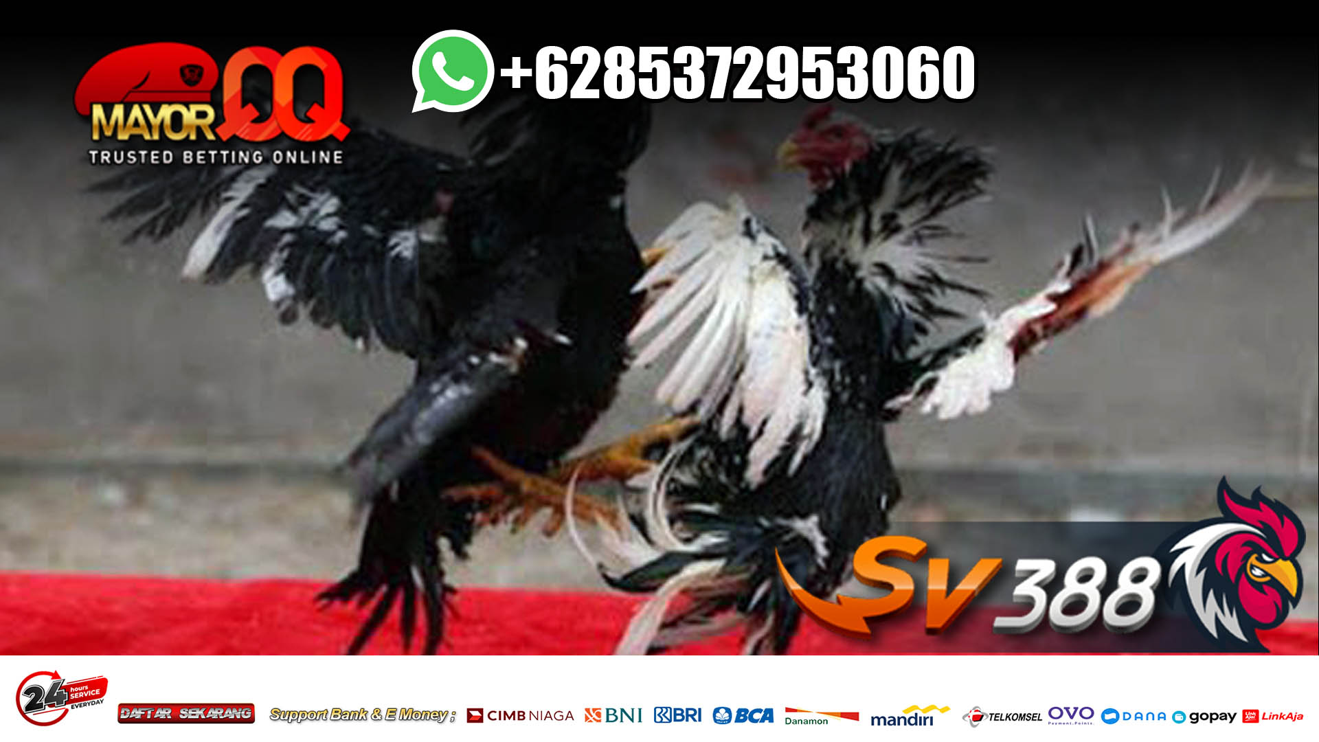 SV388 Agen Sv388 Judi Sv388 Sabung Ayam Online Login Sv388